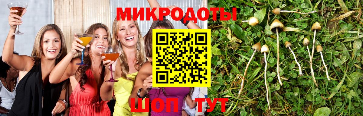 Галлюциногенные грибы GOLDEN TEACHER Наро-Фоминск